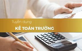 Cty Xkld Thabilabco Tuyển Dụng Kế Toán Trưởng Tại Bay Area Mỹ