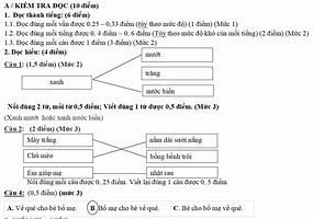 Đề Thi Giữa Kì 1 Văn Kết Nối Tri Thức