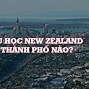 Du Học Tiếng Anh Ngắn Hạn Tại New Zealand