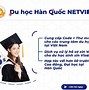 Hình Thức Du Học Hàn Quốc